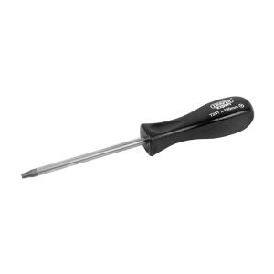 TORX Screwdriver